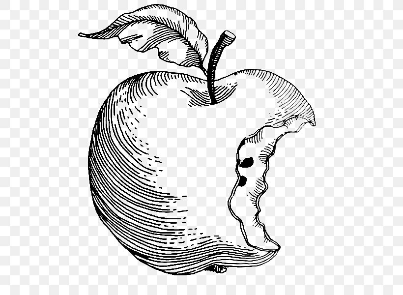 Line Drawing Apple Fruit PNG Images | AI Free Download - Pikbest
