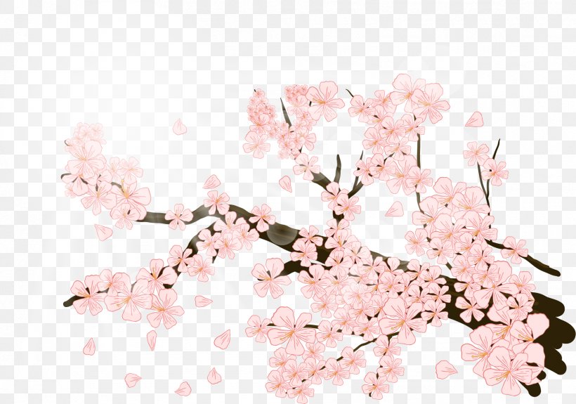 Cherry Blossom Illustration, PNG, 1776x1246px, Blossom, Bamboo, Branch, Cherry Blossom, Floral Design Download Free