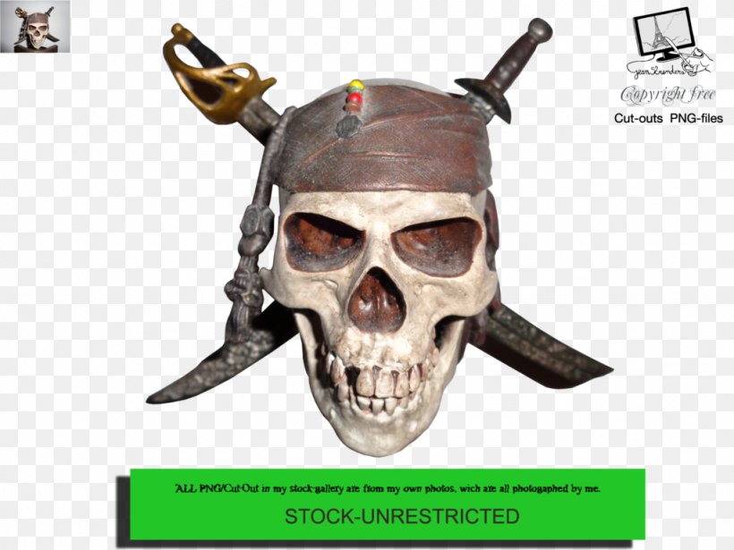 Skull Artist Bone, PNG, 1024x768px, Skull, Art, Artist, Bone, Community Download Free