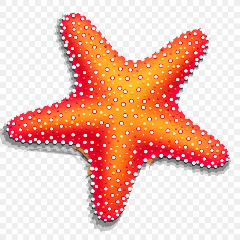 Starfish Drawing, PNG, 1136x1135px, Starfish, Animaatio, Drawing, Echinoderm, Invertebrate Download Free