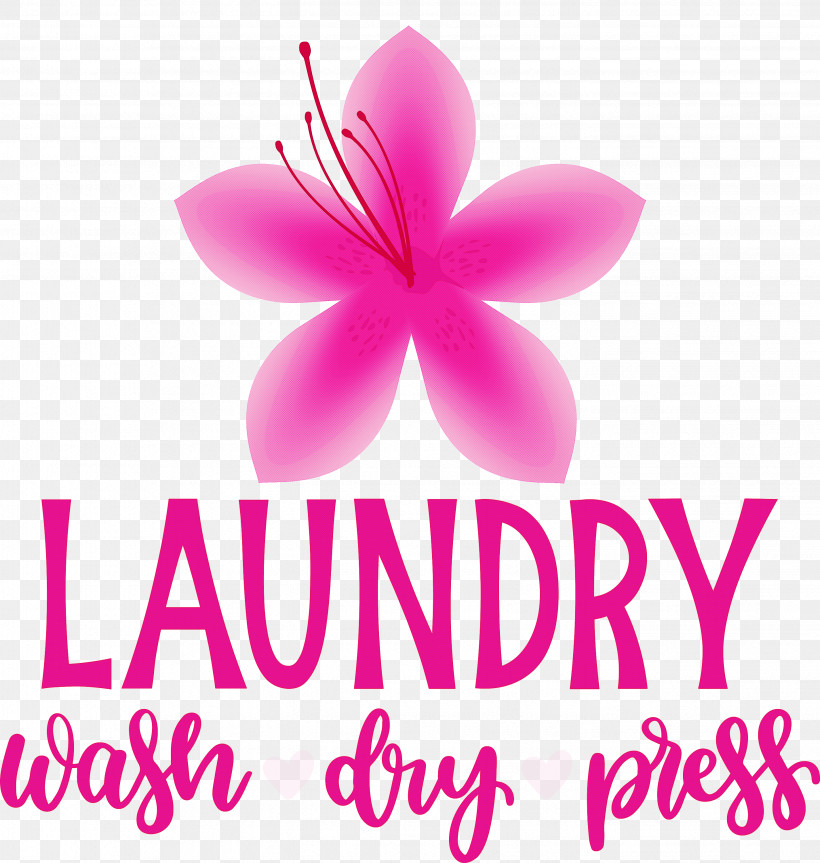 Laundry Wash Dry, PNG, 2849x2999px, Laundry, Biology, Cut Flowers, Dry, Flower Download Free