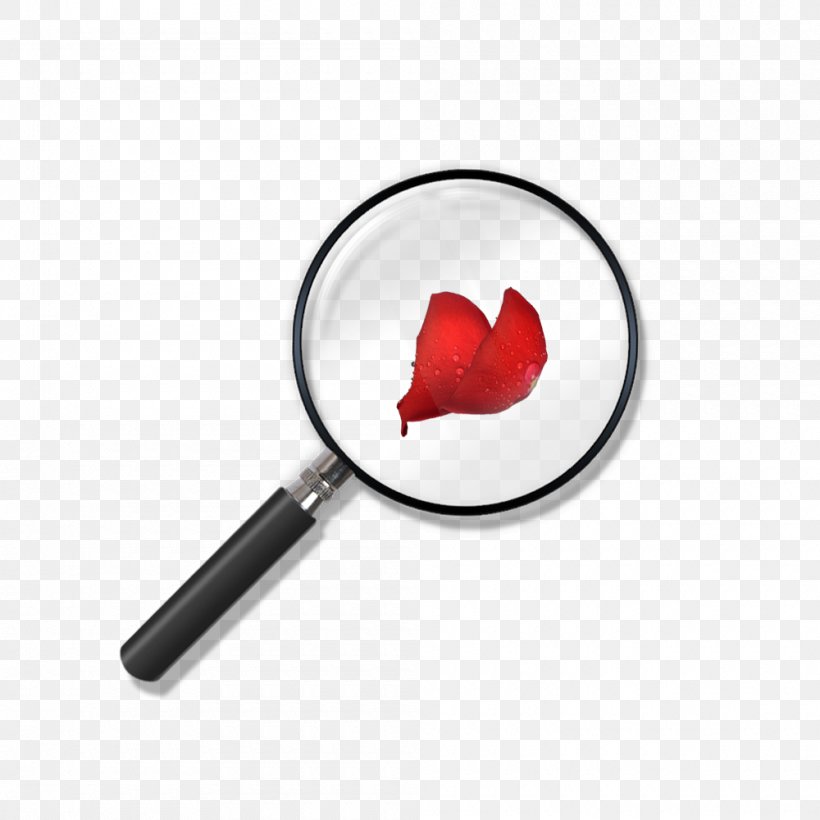 Magnifying Glass Download, PNG, 1000x1000px, Magnifying Glass, Animation, Data, Glass, Heart Download Free