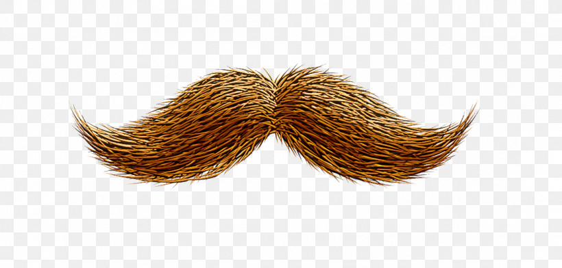 Moustache, PNG, 1108x530px, Hair, Blond, Brown, Brown Hair, Costume Download Free