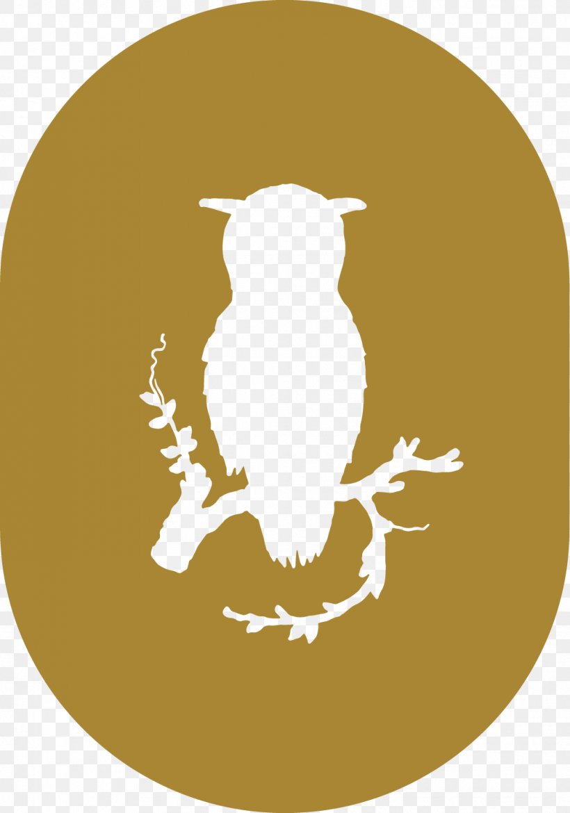 Owl Beak Bird Of Prey, PNG, 1034x1476px, Owl, Beak, Bird, Bird Of Prey, Organism Download Free