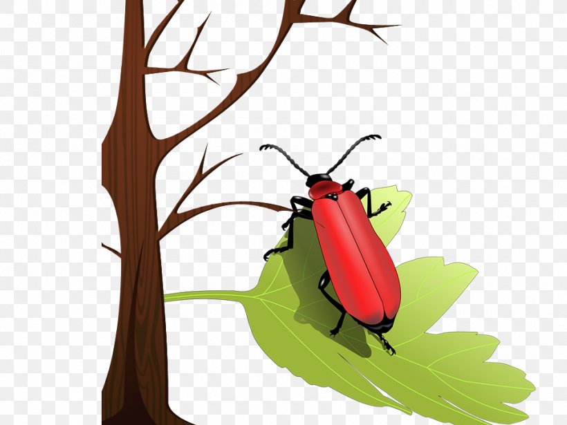 Volkswagen Beetle Ladybird Insect Wing Clip Art, PNG, 960x720px, Beetle, Antenna, Cardinal Beetle, Color, Insect Download Free