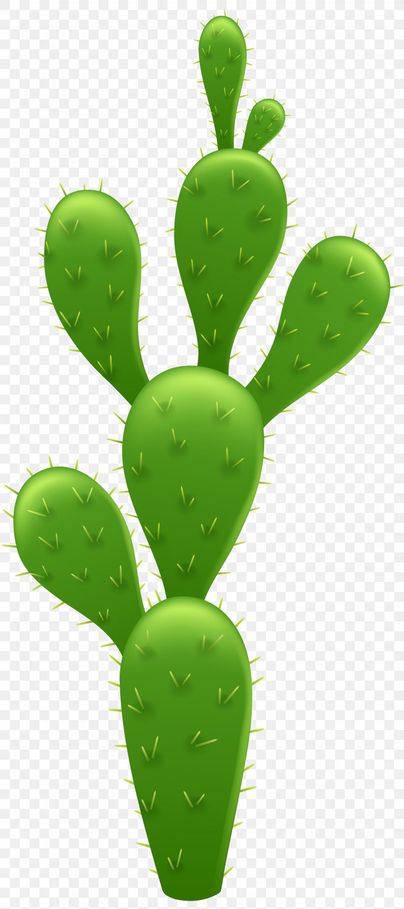 Cactaceae Prickly Pear Clip Art, PNG, 3558x8000px, Cactaceae, Barbary Fig, Cactus, Can Stock Photo, Caryophyllales Download Free