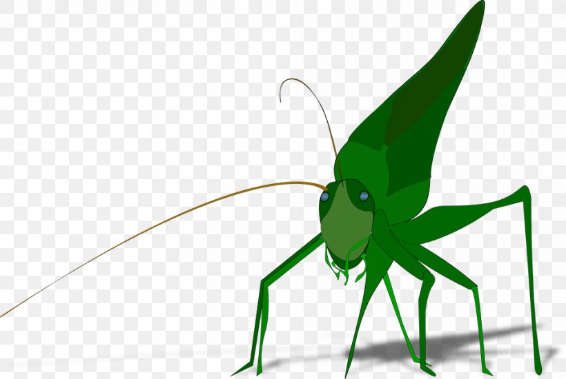 Drawing The Ant And The Grasshopper Clip Art, PNG, 960x645px, Drawing, Ant And The Grasshopper, Arthropod, Cricket Like Insect, Fly Download Free