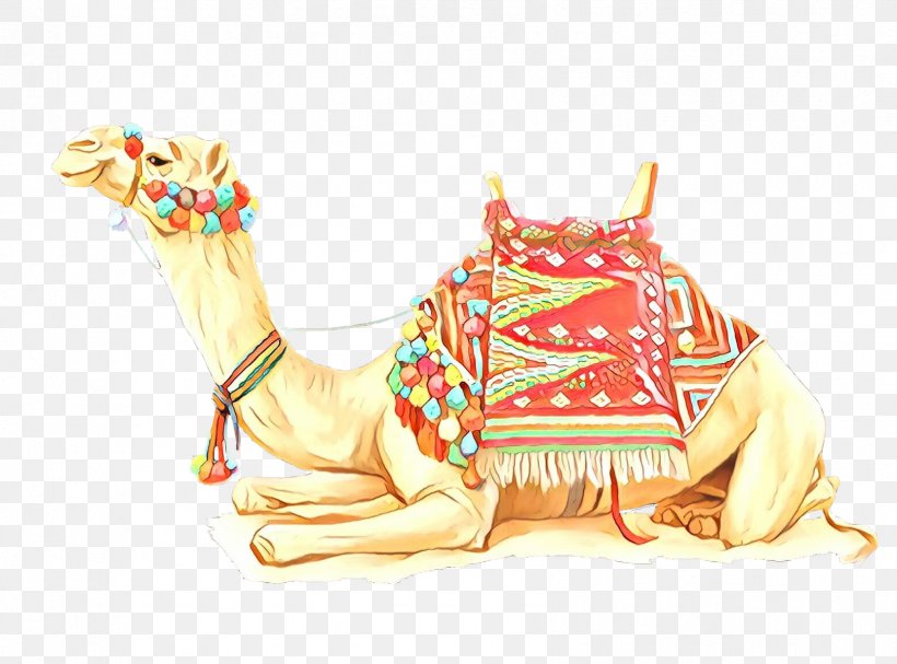 Dromedary Bactrian Camel Image Desert Camel Train, PNG, 1684x1247px, Dromedary, Amusement Park, Animal, Arabian Camel, Bactrian Camel Download Free