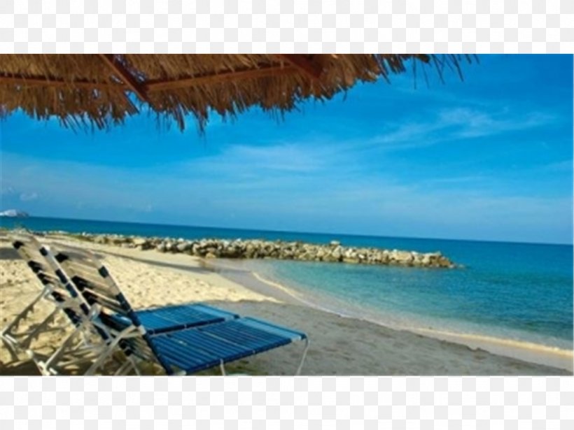 Flamingo Beach Resort Отель Flamingo Beach Resort By Diamond Resorts Shore Hotel, PNG, 1024x768px, Shore, Bay, Beach, Caribbean, Coast Download Free