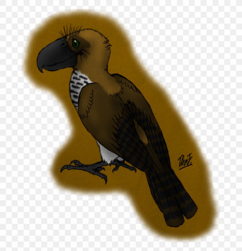 Macaw Fauna Beak Feather, PNG, 1280x1331px, Macaw, Beak, Bird, Fauna, Feather Download Free