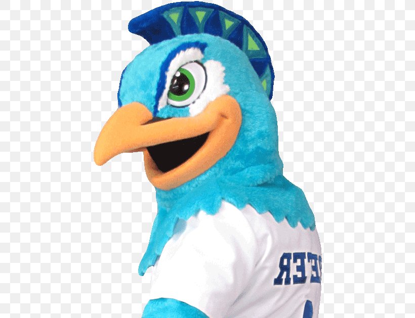 Mascot Costume Clothing Dress Suit, PNG, 454x629px, Mascot, Assumption College, Beak, Bird, Clothing Download Free