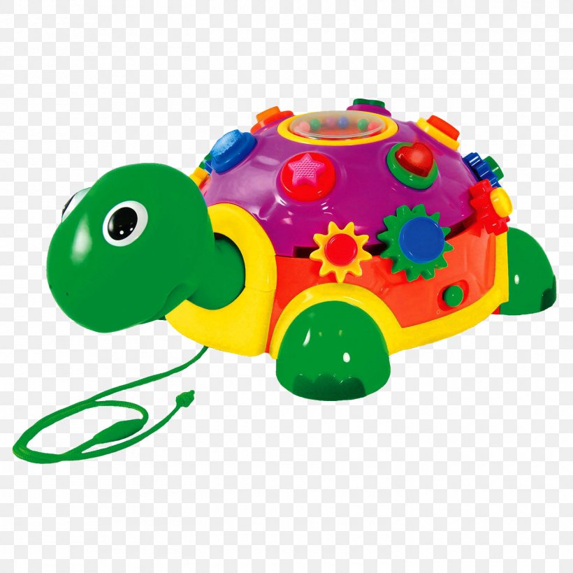 Turtle Educational Toys Child Toddler, PNG, 1500x1500px, Turtle, Animal Figure, Baby Toys, Child, Educational Toys Download Free