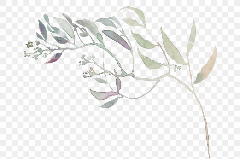 White Leaf Plant Flower Drawing, PNG, 900x600px, White, Drawing, Flower, Herbaceous Plant, Leaf Download Free