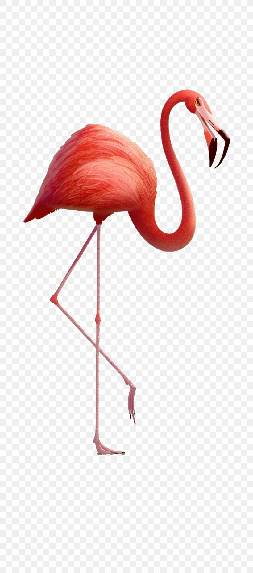 3d Red Red-crowned Crane, PNG, 1000x2267px, Drawing, Animal, Art, Beak, Bird Download Free
