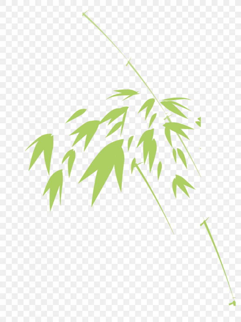 Bamboo Green Leaf, PNG, 1164x1560px, Bamboo, Bamboe, Branch, Element, Grass Download Free