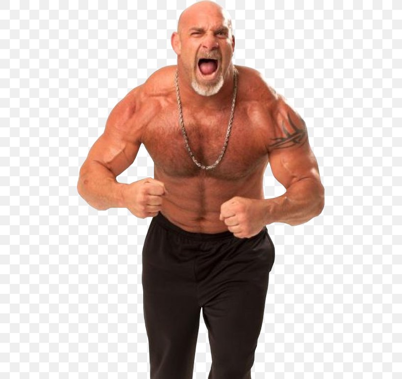 Bill Goldberg High-definition Video Wallpaper, PNG, 507x774px, Watercolor, Cartoon, Flower, Frame, Heart Download Free