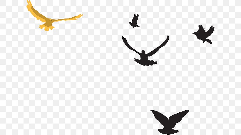 Bird Flight Bird Of Prey Clip Art, PNG, 640x459px, Bird, Beak, Bird Flight, Bird Of Prey, Black And White Download Free