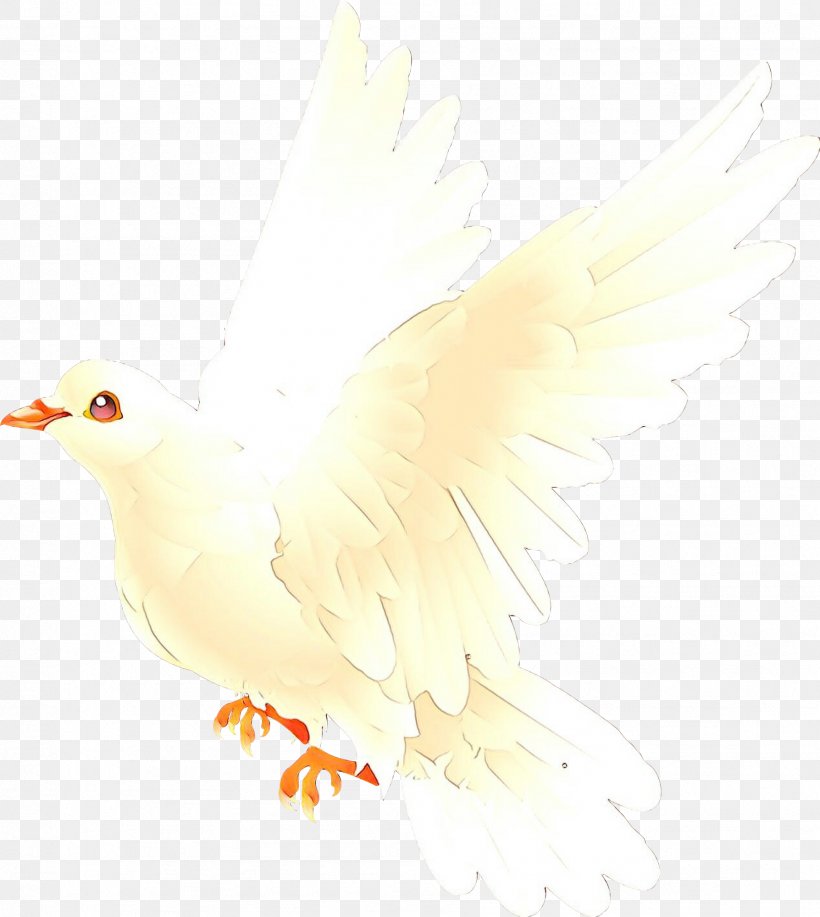 Chicken Cartoon, PNG, 1788x2000px, Cartoon, Beak, Bird, Bird Of Prey, Chicken Download Free