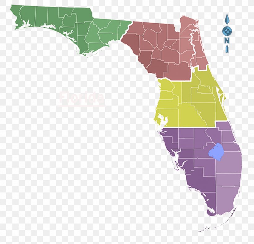 Florida Vector Map Royalty-free, PNG, 907x870px, Florida, Area, Art, Ecoregion, Map Download Free