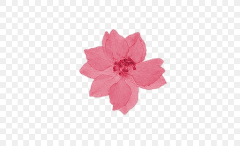 Petal Cut Flowers Pink M Larkspur, PNG, 500x500px, Petal, Cut Flowers, Flower, Larkspur, Magenta Download Free