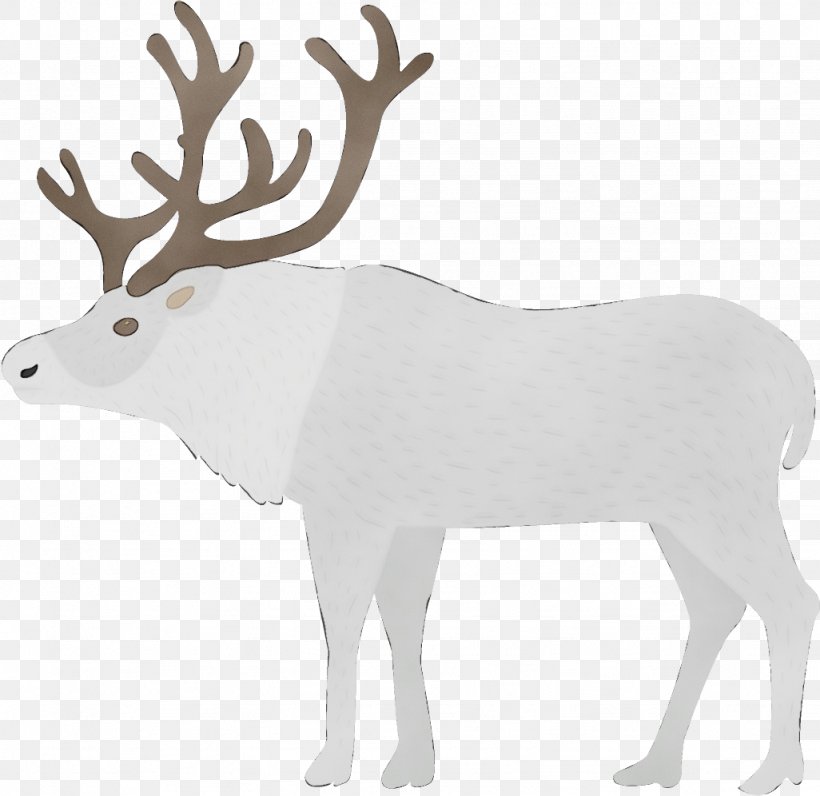 Reindeer, PNG, 1026x996px, Watercolor, Animal Figure, Antler, Deer, Elk Download Free