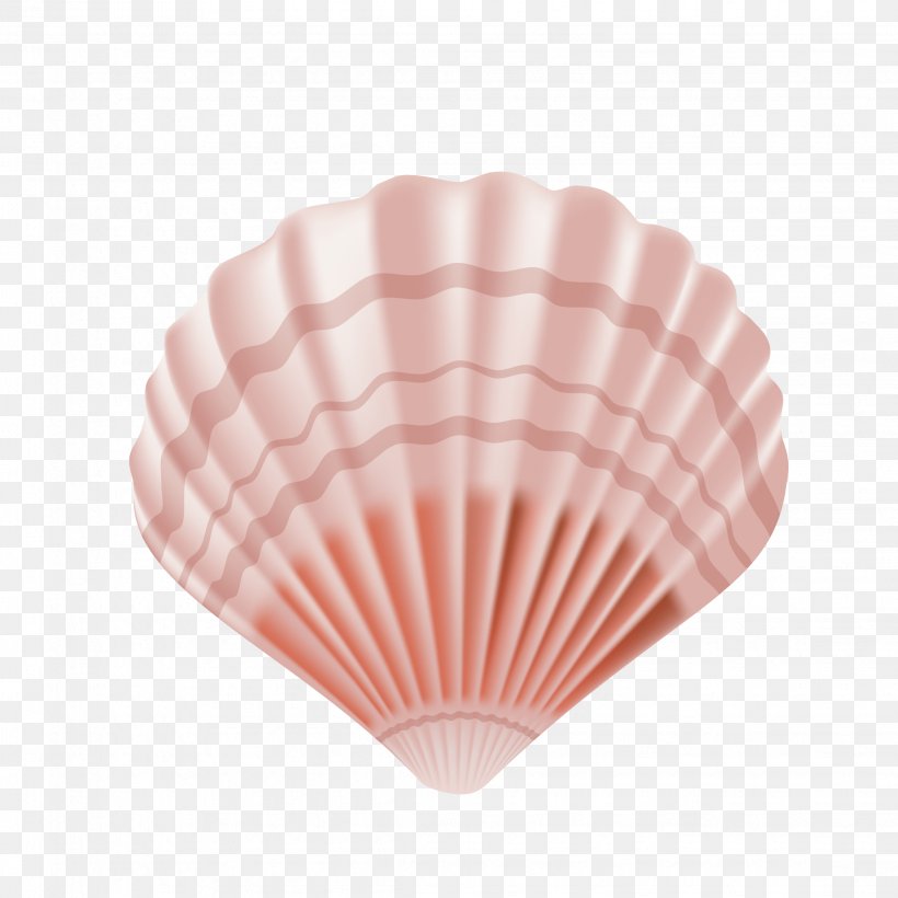Seashell Euclidean Vector, PNG, 2262x2262px, Seashell, Digital Scrapbooking, Peach, Petal, Pink Download Free