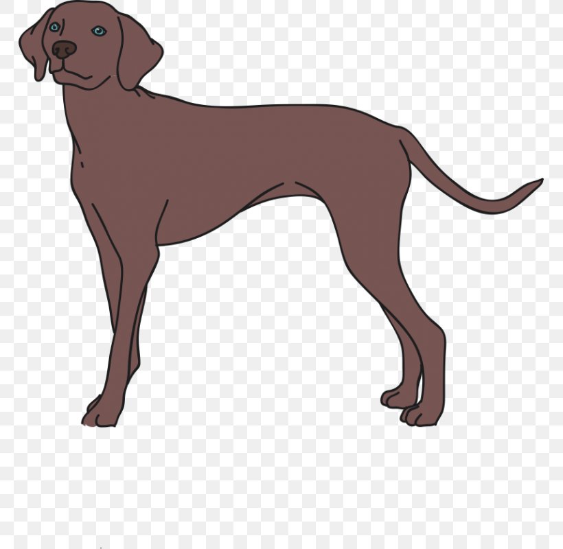 Dog Breed Italian Greyhound Redbone Coonhound Longdog Companion Dog, PNG, 800x800px, Dog Breed, Animal, Animal Sauvage, Black And Tan Coonhound, Breed Download Free