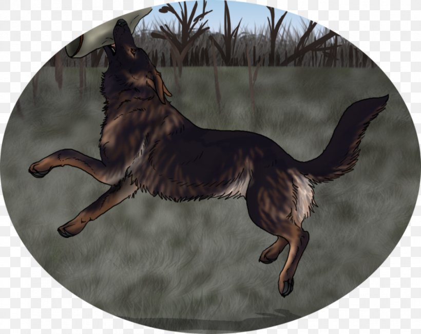 German Shepherd Dog Breed Razas Nativas Vulnerables, PNG, 1003x796px, German Shepherd, Breed, Carnivoran, Dog, Dog Breed Download Free