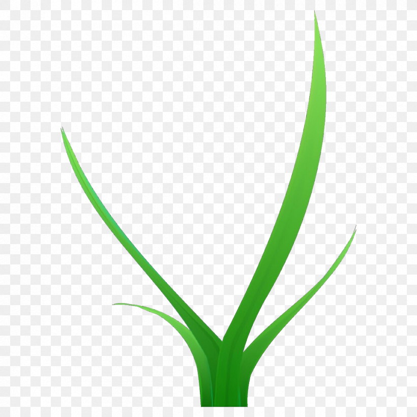 Green Leaf Plant Flower Grass, PNG, 1200x1200px, Green, Flower, Grass, Grass Family, Leaf Download Free