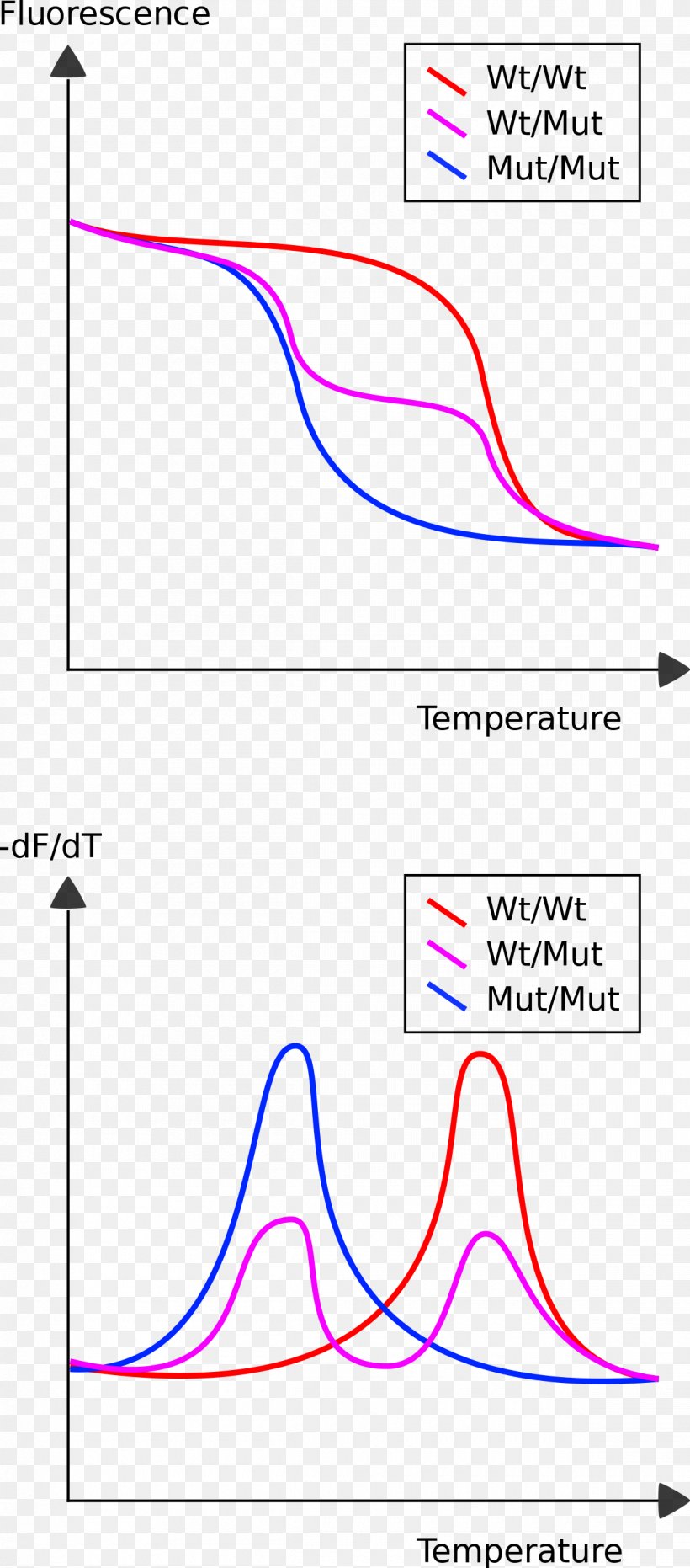 Melting Curve Analysis High Resolution Melt Genotyping Polymerase Chain Reaction SYBR Green I, PNG, 1200x2725px, Melting Curve Analysis, Amplicon, Area, Denaturation, Diagram Download Free