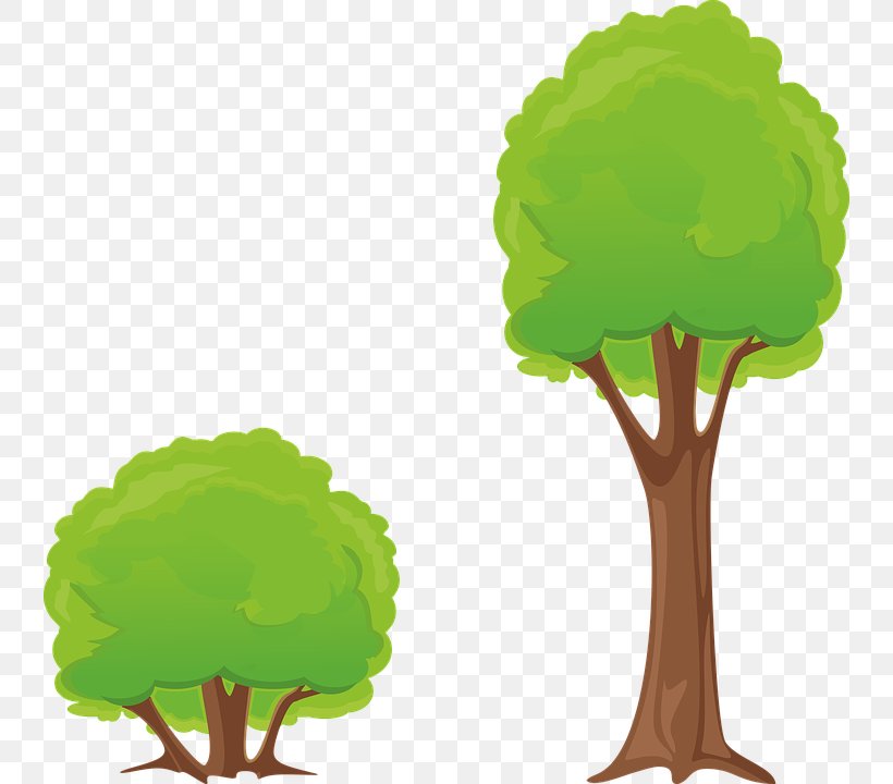 Shrub Tree Clip Art, PNG, 740x720px, Shrub, Coloring Book, Forest, Grass, Green Download Free