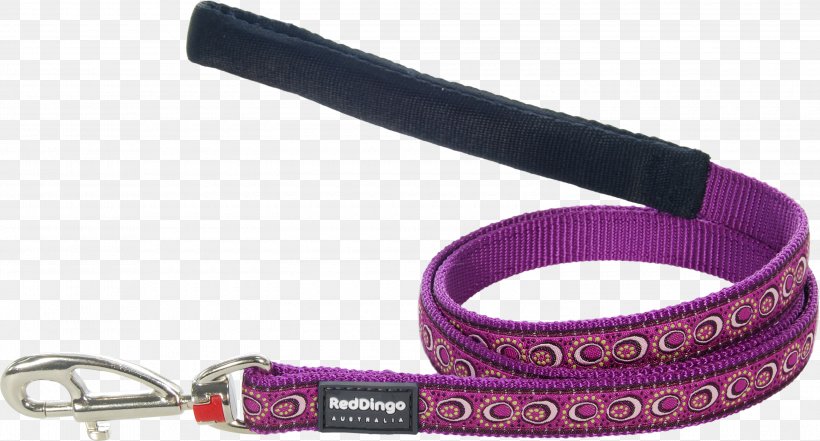 Dog Collar Dingo Leash Dog Harness, PNG, 3000x1615px, Dog, Collar, Dingo, Dog Collar, Dog Harness Download Free