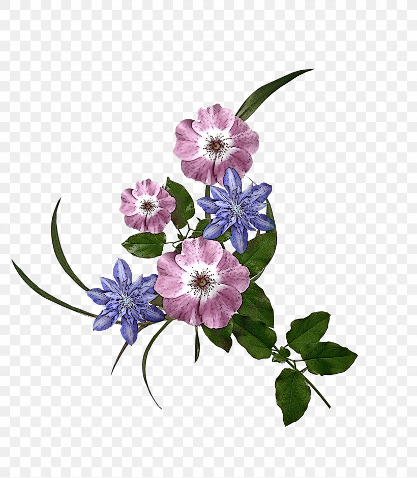Flower Plant Violet Purple Petal, PNG, 2612x3000px, Flower, Bouquet, Lilac, Petal, Plant Download Free