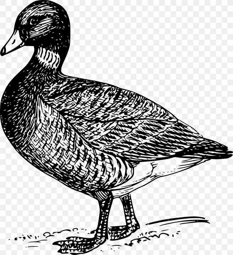 Goose Bird Duck Drawing, PNG, 2193x2400px, Goose, Beak, Bird, Bird Flight, Black And White Download Free
