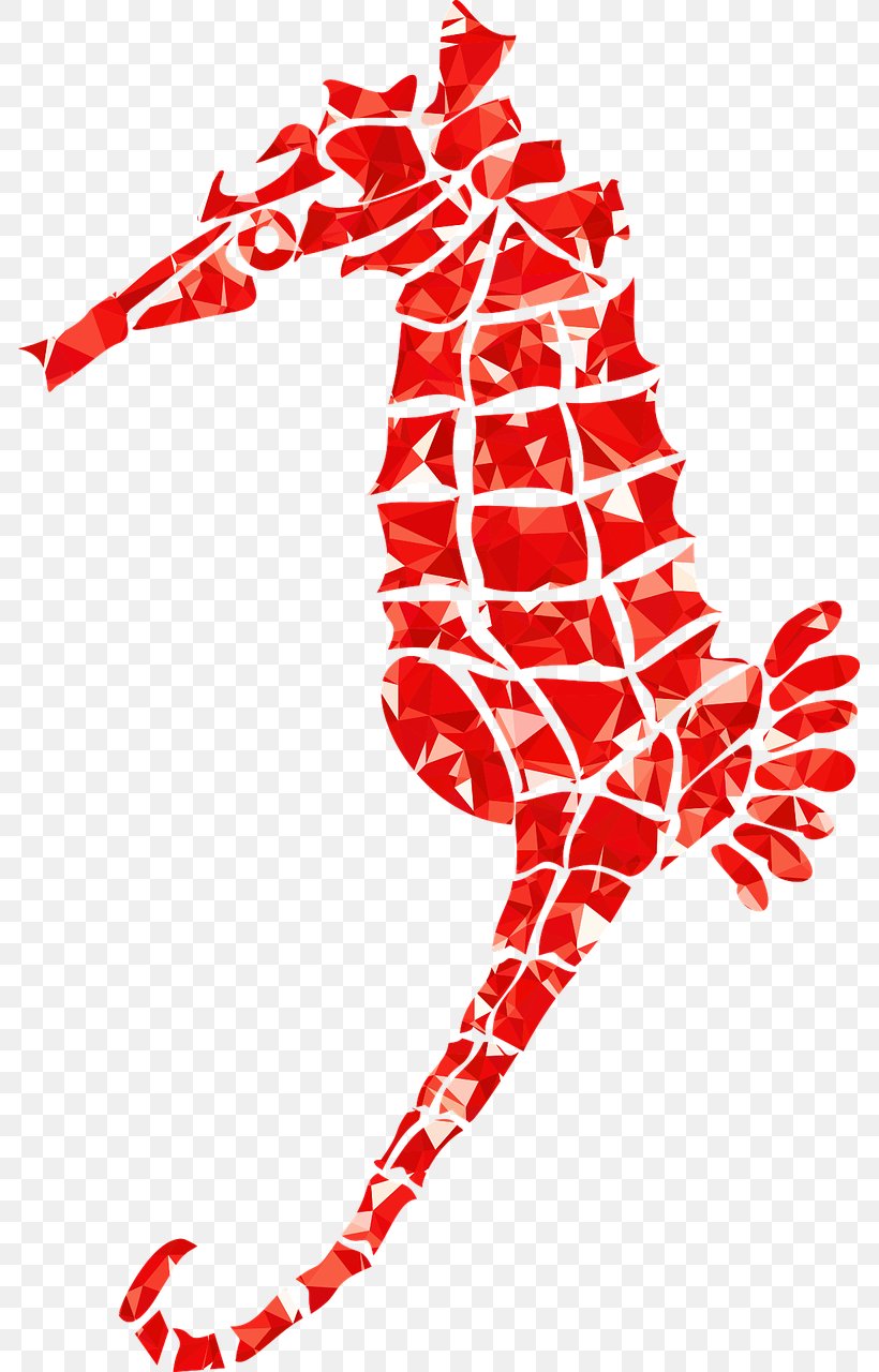 Seahorse Fish Pony Clip Art, PNG, 785x1280px, Seahorse, Aquarium, Area, Artwork, Black And White Download Free