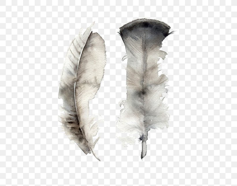 Feather Watercolor Painting Art Canvas, PNG, 570x645px, Feather, Art, Artist, Canvas, Canvas Print Download Free