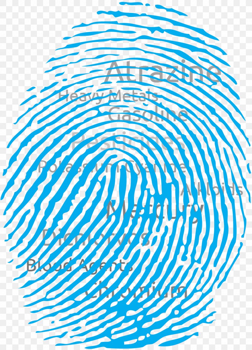 Fingerprint Clip Art, PNG, 1000x1388px, Fingerprint, Area, Black And White, Color, Document Download Free