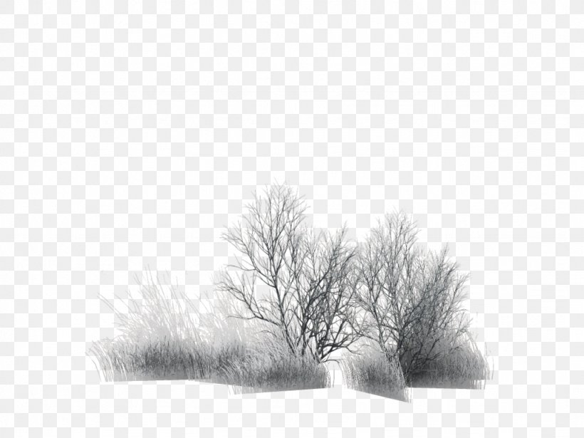 Branch Tree Painting Black, PNG, 1024x768px, Branch, Black, Black And White, Grass, Monochrome Download Free