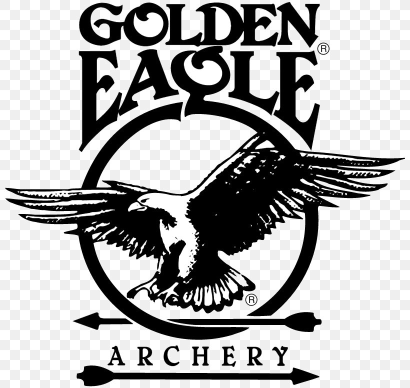 Logo Bird Golden Eagle Clip Art, PNG, 800x776px, Logo, Archery, Artwork, Beak, Bird Download Free