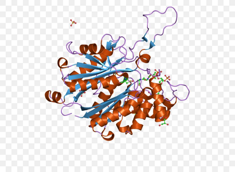 Thiolase Bioinformatics ACAT1 ACAT2 Acetyl-CoA C-acetyltransferase, PNG, 800x600px, Watercolor, Cartoon, Flower, Frame, Heart Download Free