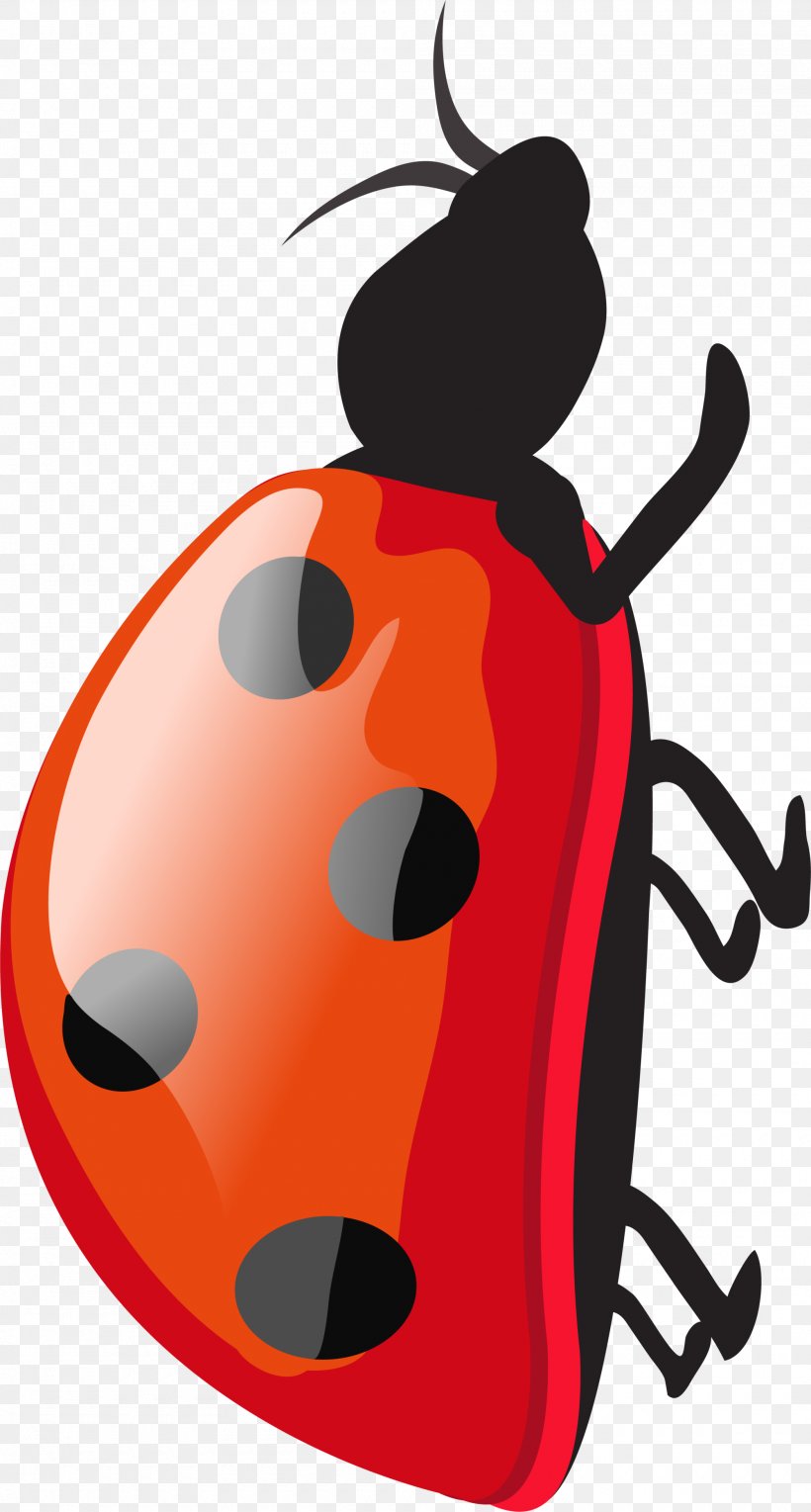 Ladybird Red Cartoon, PNG, 2000x3731px, Ladybird, Animation, Beetle, Cartoon, Drawing Download Free