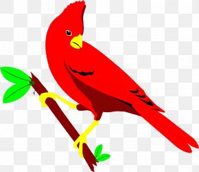 Leaf Northern cardinal Feather, Red Feather, leaf, feather Generative Ai  25320804 PNG