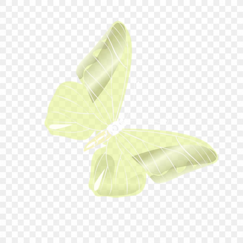 Butterfly Angle Pattern, PNG, 1181x1181px, Butterfly, Green, Insect, Invertebrate, Moths And Butterflies Download Free