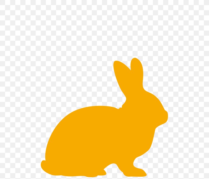 Domestic Rabbit Hare Haydon Veterinary Group Easter Bunny Rex Rabbit, PNG, 768x703px, Domestic Rabbit, Animal, Easter Bunny, Fauna, Hare Download Free