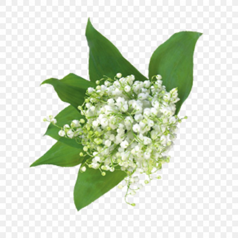 Gypsophila Paniculata Flower Bouquet Floral Design, PNG, 1060x1060px, Gypsophila Paniculata, Artificial Flower, Cut Flowers, Floral Design, Floristry Download Free
