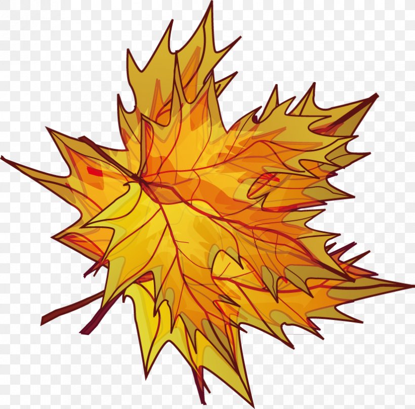 Maple Leaf Illustration, PNG, 825x813px, Maple Leaf, Autumn, Chemical Element, Flowering Plant, Home Page Download Free