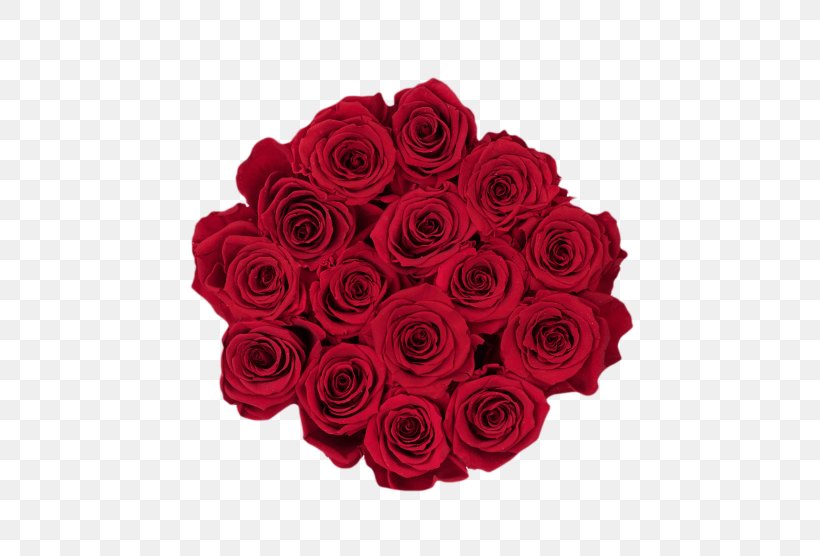 Garden Roses RE/MAX, LLC RE/MAX INTEGRA Ontario-Atlantic Inc. RE/MAX Karun Gayrimenkul Danışmanlığı Real Estate, PNG, 600x556px, Garden Roses, Black, Cabbage Rose, Cut Flowers, Floral Design Download Free
