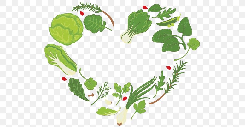 Green Leaf Background, PNG, 768x427px, Salad, Drawing, Flower, Green, Heart Download Free
