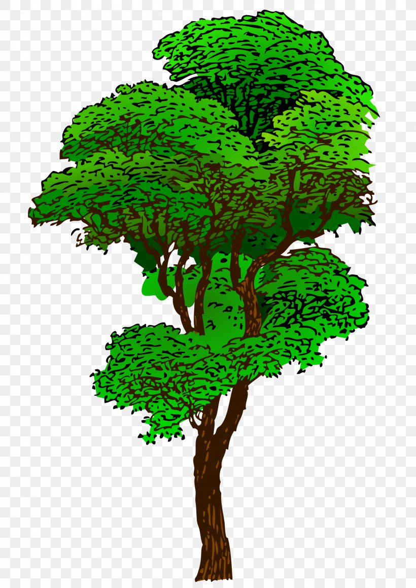 Tree Drawing Clip Art, PNG, 1697x2400px, Tree, Art, Branch, Drawing, Elm Download Free