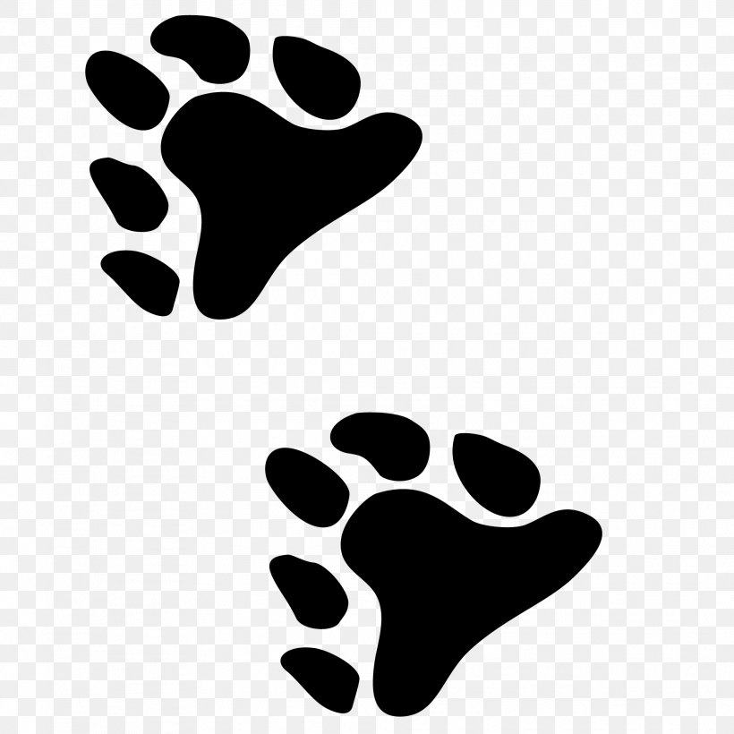 Bear Paw Line Point Clip Art, PNG, 2016x2016px, Bear, Area, Black, Black And White, Black M Download Free